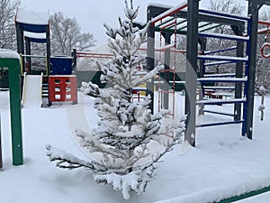 Snow-covered Christmas tree on a winter playground.