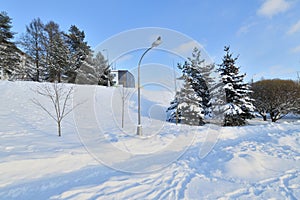 Snow-covered City Park in a winter park in Moscow, Russia