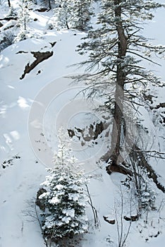 Snow Covered Colorado Canyon