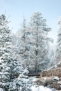 Snow Covered Colorado Canyon