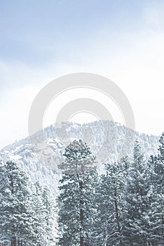 Snow Covered Colorado Canyon