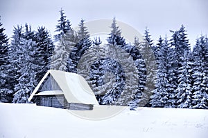 Snow covered cottage