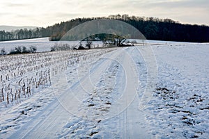 Snow-covered country lane with stubble field in early tomorrow