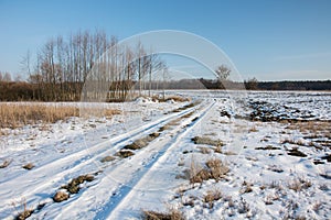 Snow-covered country road through fields. Coppice and blue sky photo