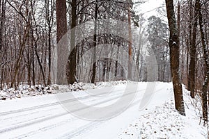 Snow-covered country road in forest in winter