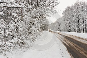 Snow-covered country village road through forest in winter, salt-covered asphalt in winter