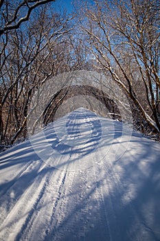 Snow covered cross country ski trail in northern Illinois.