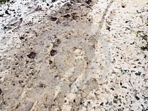 snow covered dirty forest path floor walkway outside texture