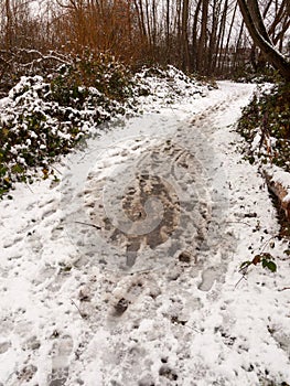 snow covered dirty forest path floor walkway outside texture