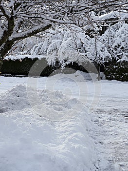 Cleaned driveway after heavy snow  photo