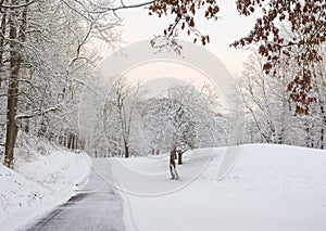 Snow Covered Driveway