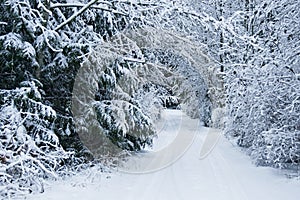 La neve coperto vialetto 