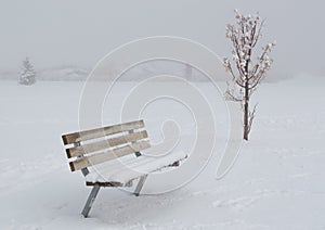 Snow covered empty wooden bench with small tree in a ghostly winter fog