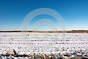 Snow covered farm field. Snow fell on agricultural field. Late autumn