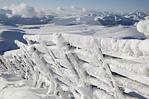 Snow covered fence