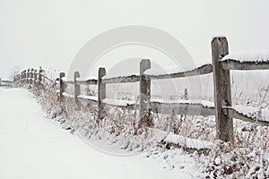 Snow Covered Fence