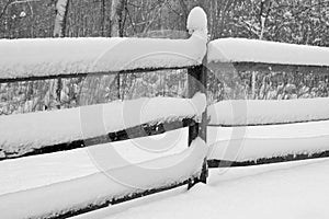 Snow Covered Fence