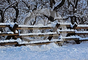 Snow Covered Fence