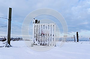 Snow covered fence
