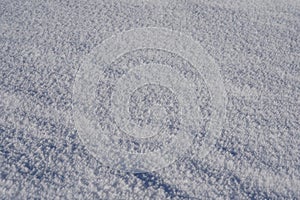 Snow covered field as winter background. Cutout of snow covered surfaced. photo