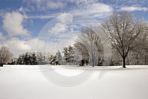 Snow covered field trees and clouds