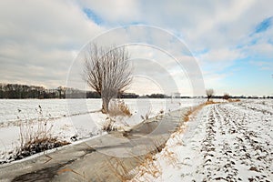 Snow-covered fields in a Dutch polder landscape