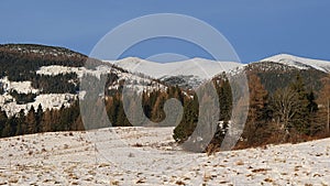 Snow covered fields and naked winter tree lines under hills of Low Tatras mountains.