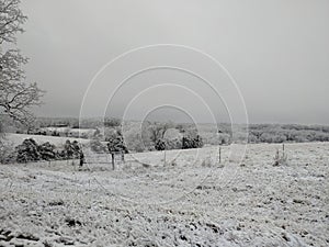 Snow Covered Fields Road Trip