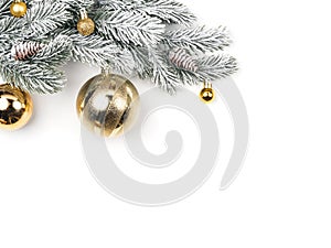 snow-covered fir branch with gold balls on white