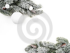 snow-covered fir branch with white balls on white