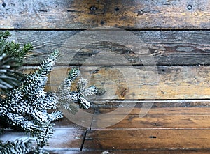 Snow-covered fir branches on a background of wooden boards
