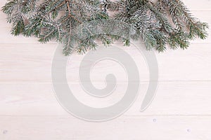 Snow-covered fir branches on a white wooden background. Zero waste, no plastic.