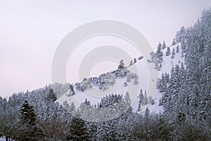 Snow-covered Foggy Mountainside