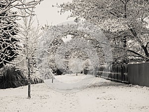 Snow covered foot path