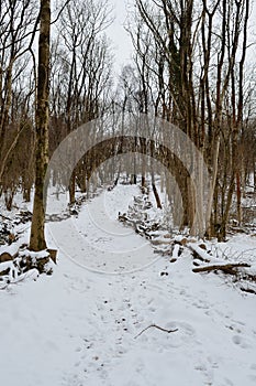 Snow covered footpath