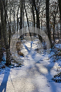 Snow-covered footpath