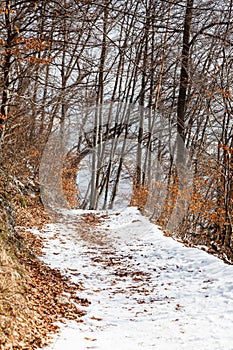 A Snow Covered Footpath on Kapuzinerberg in Salzburg