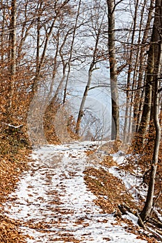 A Snow Covered Footpath on Kapuzinerberg in Salzburg