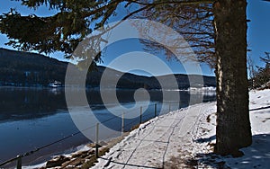 Snow-covered footpath with railing and tree on the shore of frozen lake Schluchsee in the Black Forest hills, Germany in winter.