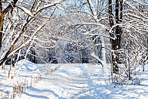 snow-covered footpath to urban park in winter