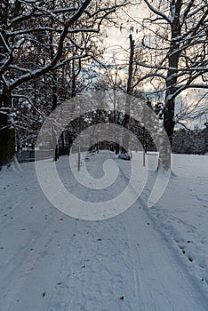 Snow covered footpath with trees around in winter public park