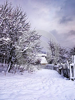 Snow covered footpath with trees, a fence and a house in the background - snowfall captured in motion