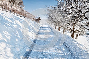Snow covered footpath in winter season