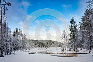 Snow covered forest and frozen lake, Hedmark Norway photo