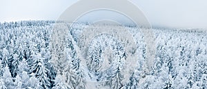 Snow-covered forest with a hiking trail, winter landscape in the Sudetes