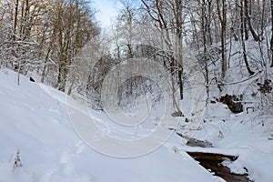 snow-covered forest and a river in a ravine