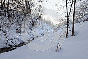 snow-covered forest and a river in a ravine