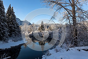 Snow covered forest and riverbanks