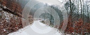 Snow covered forest road