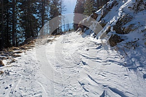 Snow covered forest road leading uphill into mountains.